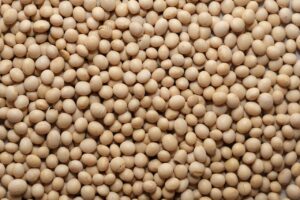 Wypieki na słodko i słono: przepisy na smaczne i aromatyczne babeczki