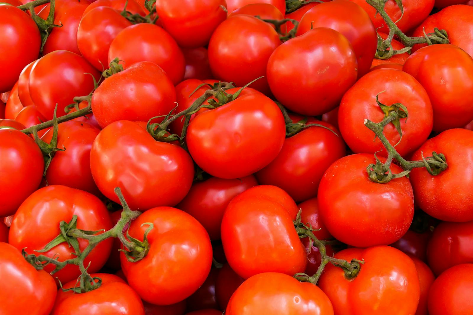 A vivid collection of fresh, ripe red tomatoes perfect for nutritious meals.