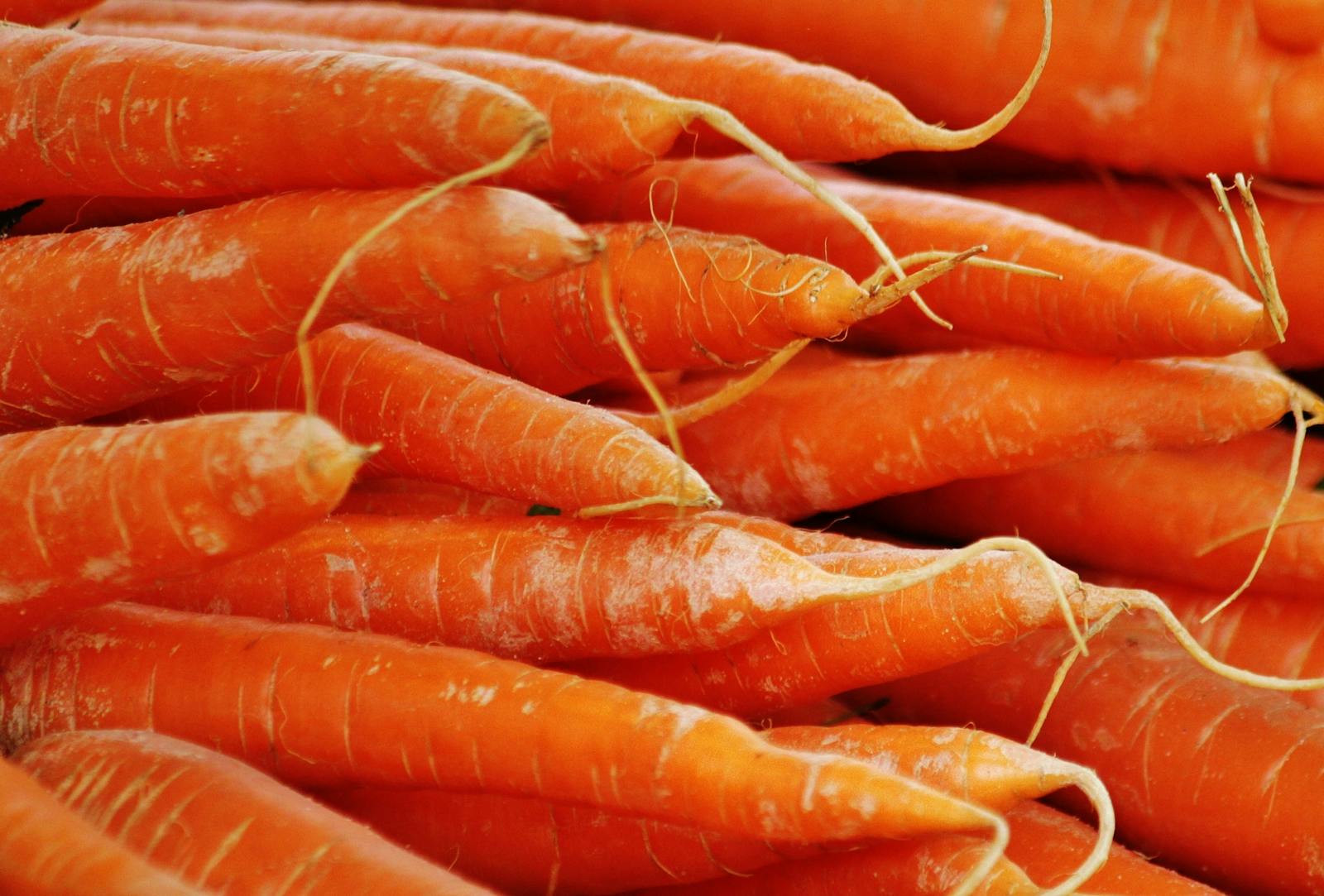 Vibrant close-up of fresh orange carrots, perfect for healthy organic cooking inspiration.